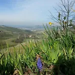 Ca Trifolera - Nelle Langhe - Romantico Cascinale Nei Vigneti Con Cantina * 바르바레스코