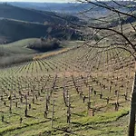 Apartment Ca Trifolera - Nelle Langhe - Romantico Cascinale Nei Vigneti Con Cantina