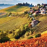 아파트 Ca Trifolera - Nelle Langhe - Romantico Cascinale Nei Vigneti Con Cantina 바르바레스코
