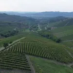 Ca Trifolera - Nelle Langhe - Romantico Cascinale Nei Vigneti Con Cantina 아파트 *