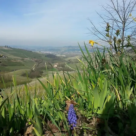 Ca Trifolera - Nelle Langhe - Romantico Cascinale Nei Vigneti Con Cantina * بارباريسكو