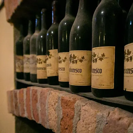 Lejlighed Ca Trifolera - Nelle Langhe - Romantico Cascinale Nei Vigneti Con Cantina Barbaresco