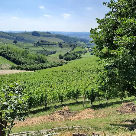 Lejlighed Ca Trifolera - Nelle Langhe - Romantico Cascinale Nei Vigneti Con Cantina *