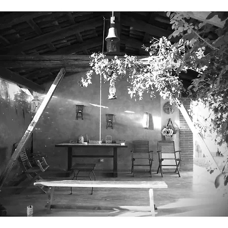 Ca Trifolera - Nelle Langhe - Romantico Cascinale Nei Vigneti Con Cantina 巴巴列斯科