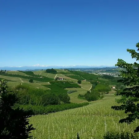 Ca Trifolera - Nelle Langhe - Romantico Cascinale Nei Vigneti Con Cantina 公寓 *