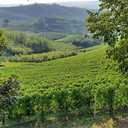 Apartamento Cà Trifolera - Nelle Langhe - Romantico Cascinale Nei Vigneti Con Cantina Barbaresco
