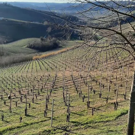Apartamento Cà Trifolera - Nelle Langhe - Romantico Cascinale Nei Vigneti Con Cantina