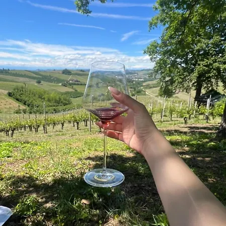 Ca Trifolera Nelle Langhe - Degustazione Vini Nella Nostra Cantina 公寓 *
