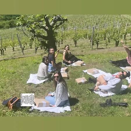 Cà Trifolera - Nelle Langhe - Romantico Cascinale Nei Vigneti Con Cantina * Barbaresco