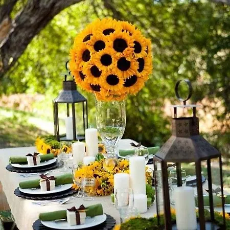 公寓 Ca Trifolera Nelle Langhe - Degustazione Vini Nella Nostra Cantina *