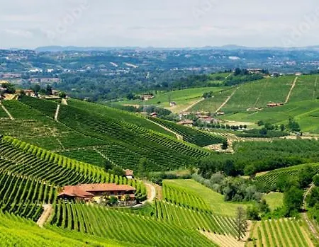 Apartamento Cà Trifolera - Nelle Langhe - Romantico Cascinale Nei Vigneti Con Cantina