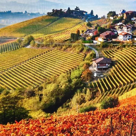 Lejlighed Ca Trifolera - Nelle Langhe - Romantico Cascinale Nei Vigneti Con Cantina Barbaresco