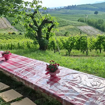 Cà Trifolera Barbaresco - Apartament nelle Langhe - ROMANTICO CASCINALE NEI VIGNETI CON CANTINA *