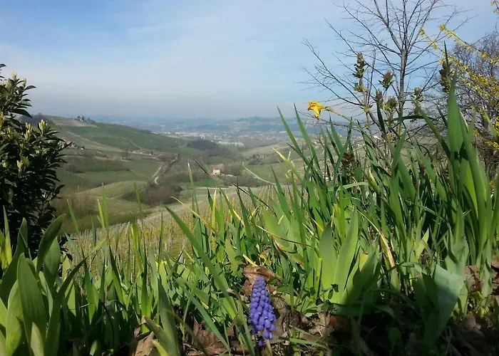 Cà Trifolera Barbaresco - Apartament nelle Langhe - ROMANTICO CASCINALE NEI VIGNETI CON CANTINA * Barbaresco