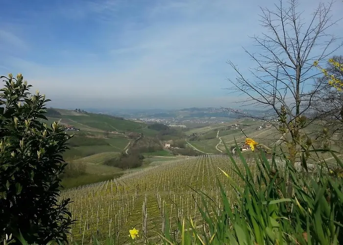 Ca Trifolera Barbaresco - Apartament Nelle Langhe - Romantico Cascinale Nei Vigneti Con Cantina Διαμέρισμα Barbaresco