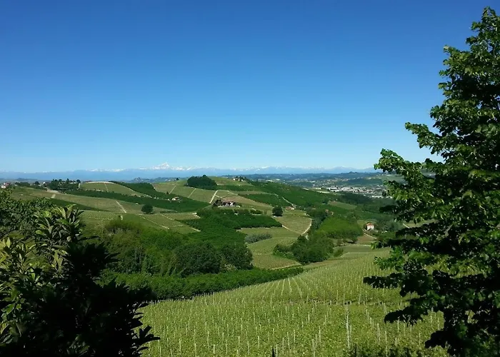 Ca Trifolera Barbaresco - Apartament Nelle Langhe - Romantico Cascinale Nei Vigneti Con Cantina Διαμέρισμα *