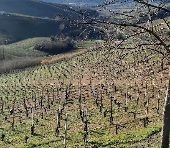 Appartamento Cà Trifolera - Nelle Langhe - Romantico Cascinale Nei Vigneti Con Cantina